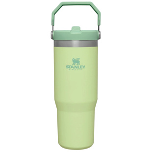 Stanley 0.89L The IceFlow Flip Straw Tumbler - Citron (Açık Yeşil) için detaylar